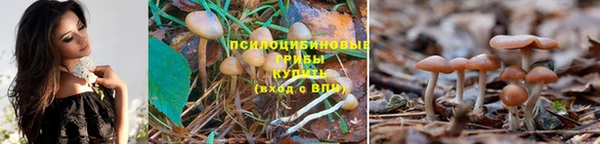 метадон Белокуриха
