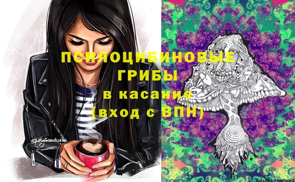 метадон Белокуриха