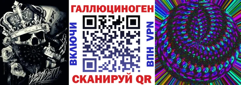 Галлюциногенные грибы Psilocybine cubensis  KRAKEN зеркало  Короча 